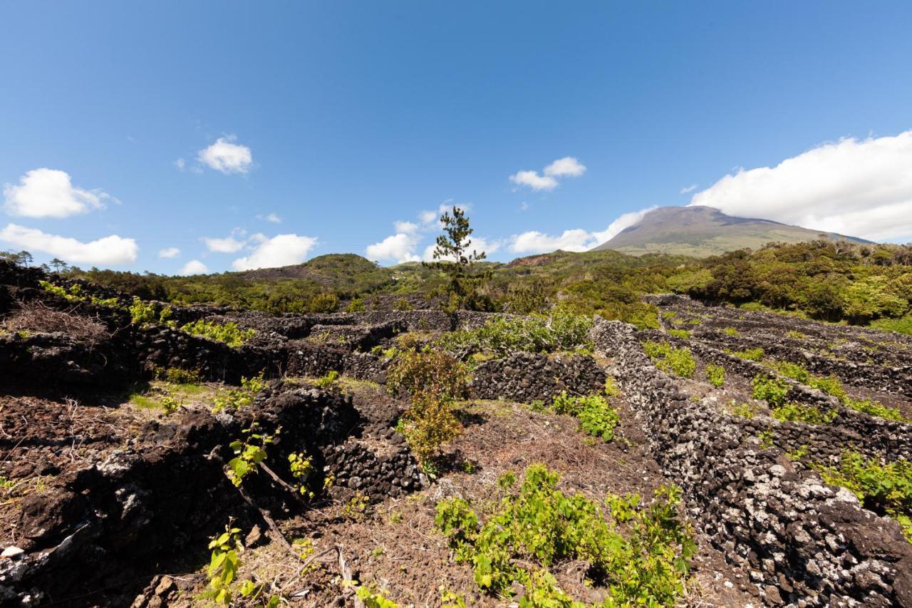 Cantinho Do Sossego Мадалена Экстерьер фото