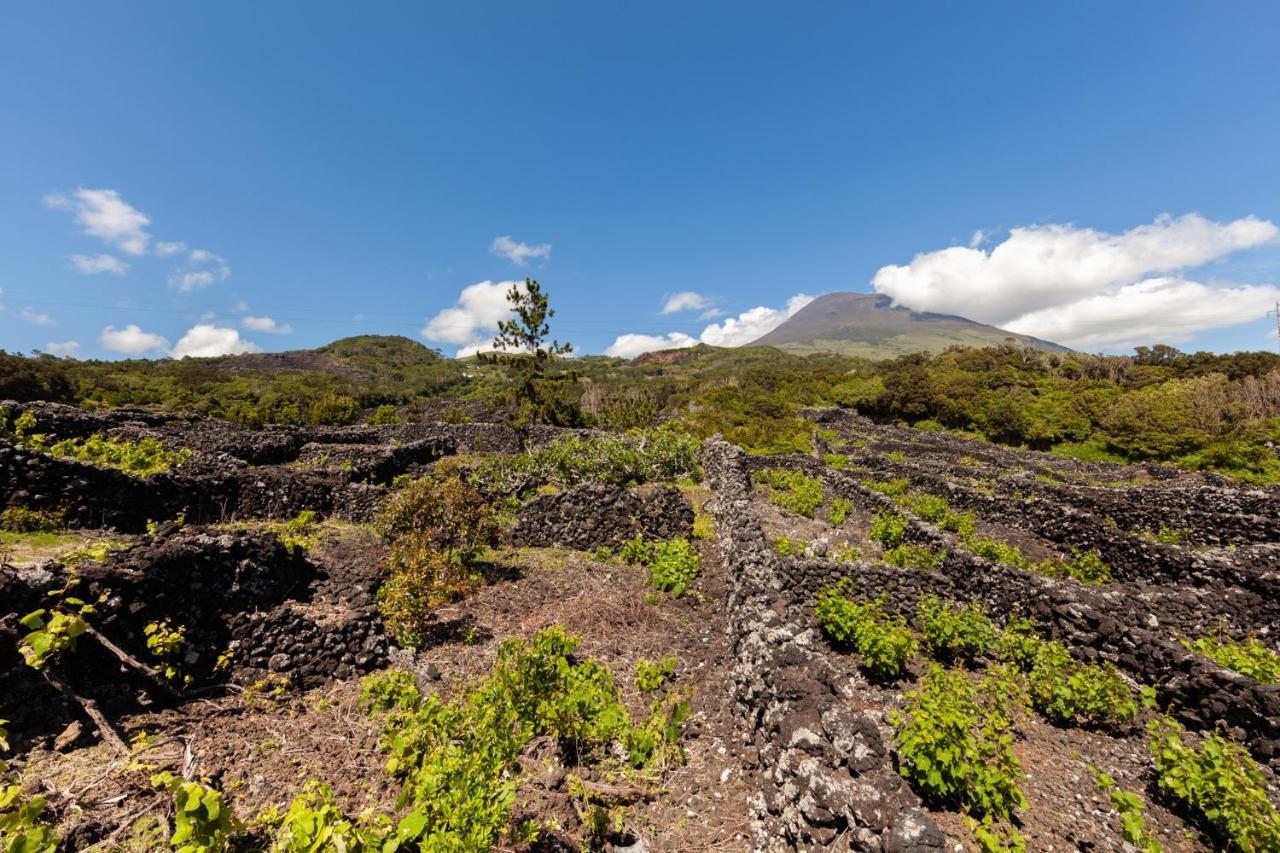 Cantinho Do Sossego Мадалена Экстерьер фото